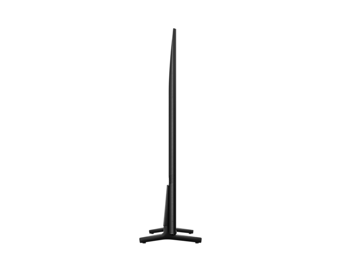 Samsung 65-inch TV